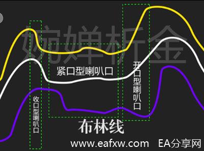 1501119384483035_副本.jpg