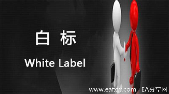 白标.jpg