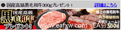 看日本外汇保证金市场中那些特立独行的角色3.png