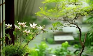 玉轩_EAAI.TOP_EA分享网_交易学习APP_EA交易爱好者联盟